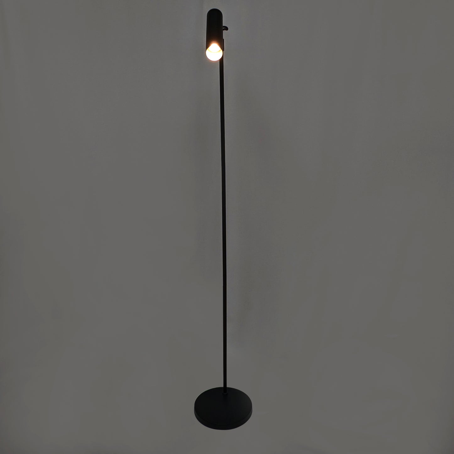 Minimalist Floor Lamp