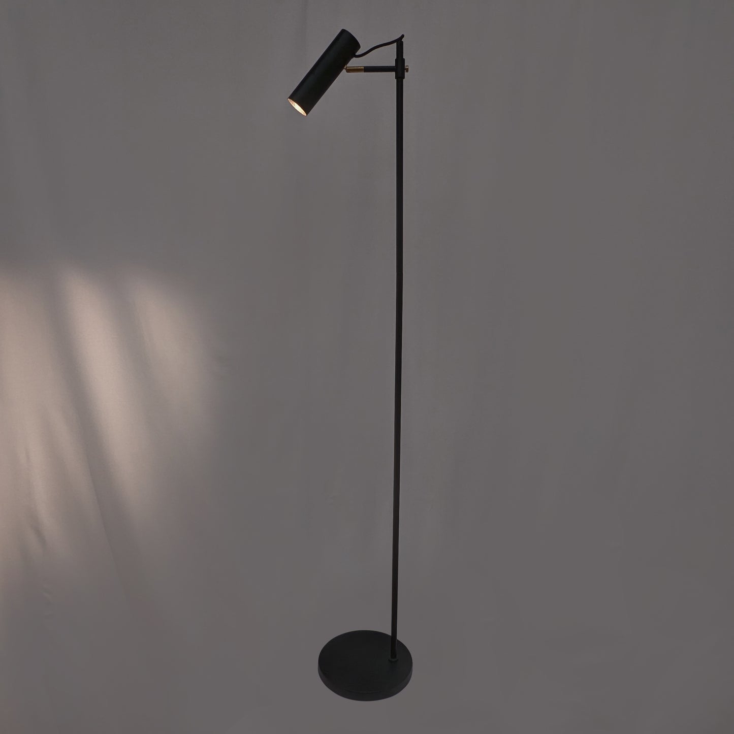 Minimalist Floor Lamp