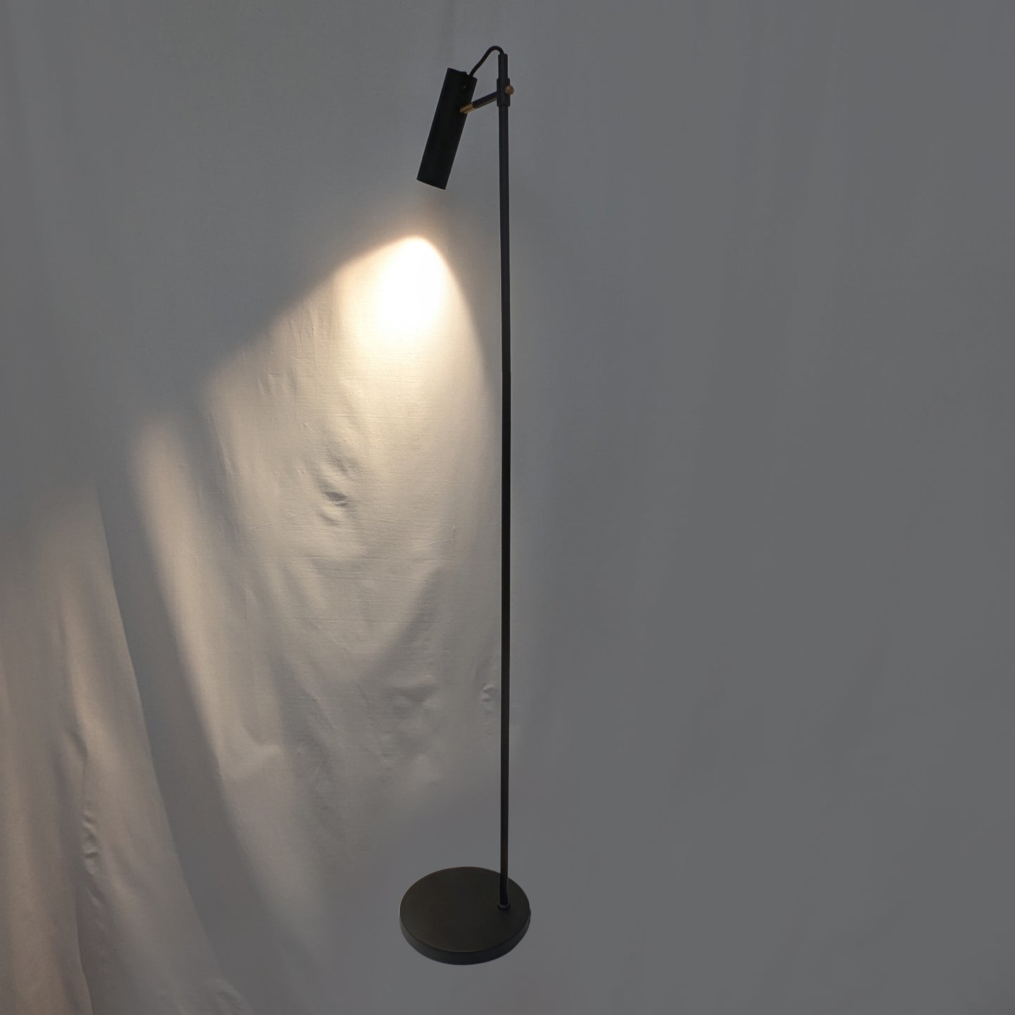 Minimalist Floor Lamp